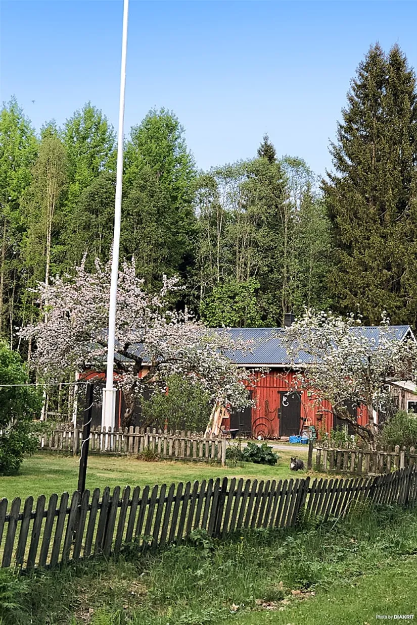 Villa, Forsbyn 10 (Baggå skola), Skinnskatteberg