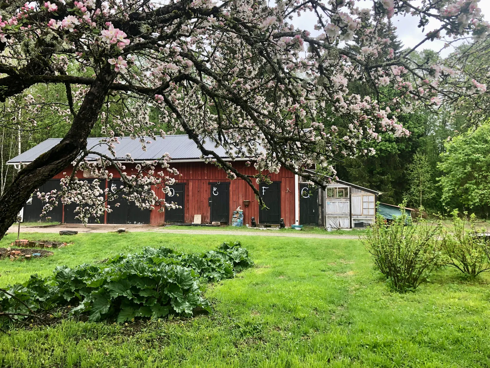 Villa, Forsbyn 10 (Baggå skola), Skinnskatteberg