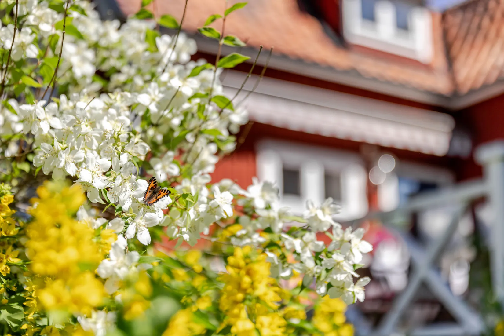 Villa, Boarp Solberga 1, Nykil, Linköping