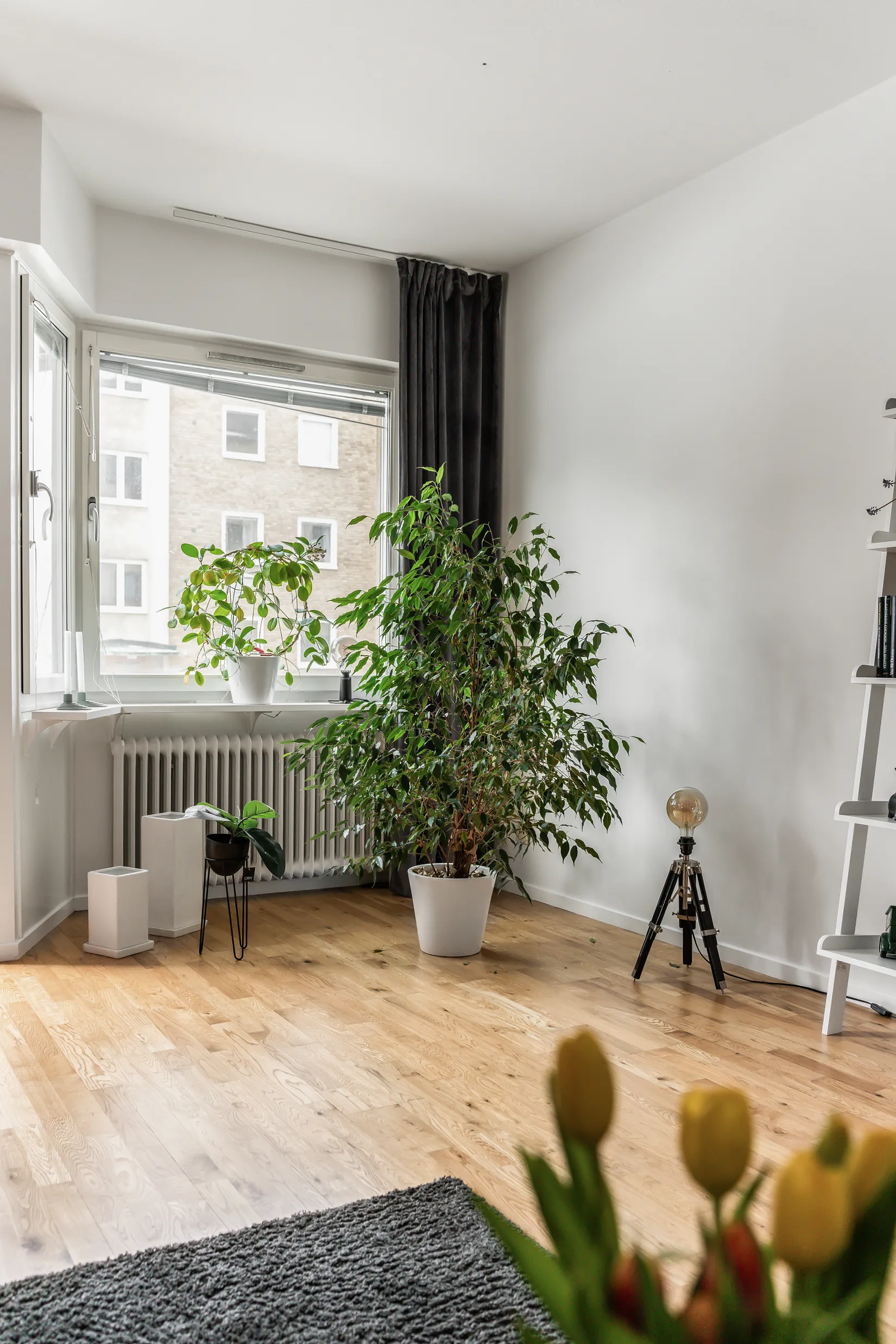 Bostadsrätt, Tredalagatan 15B, Kristianstad