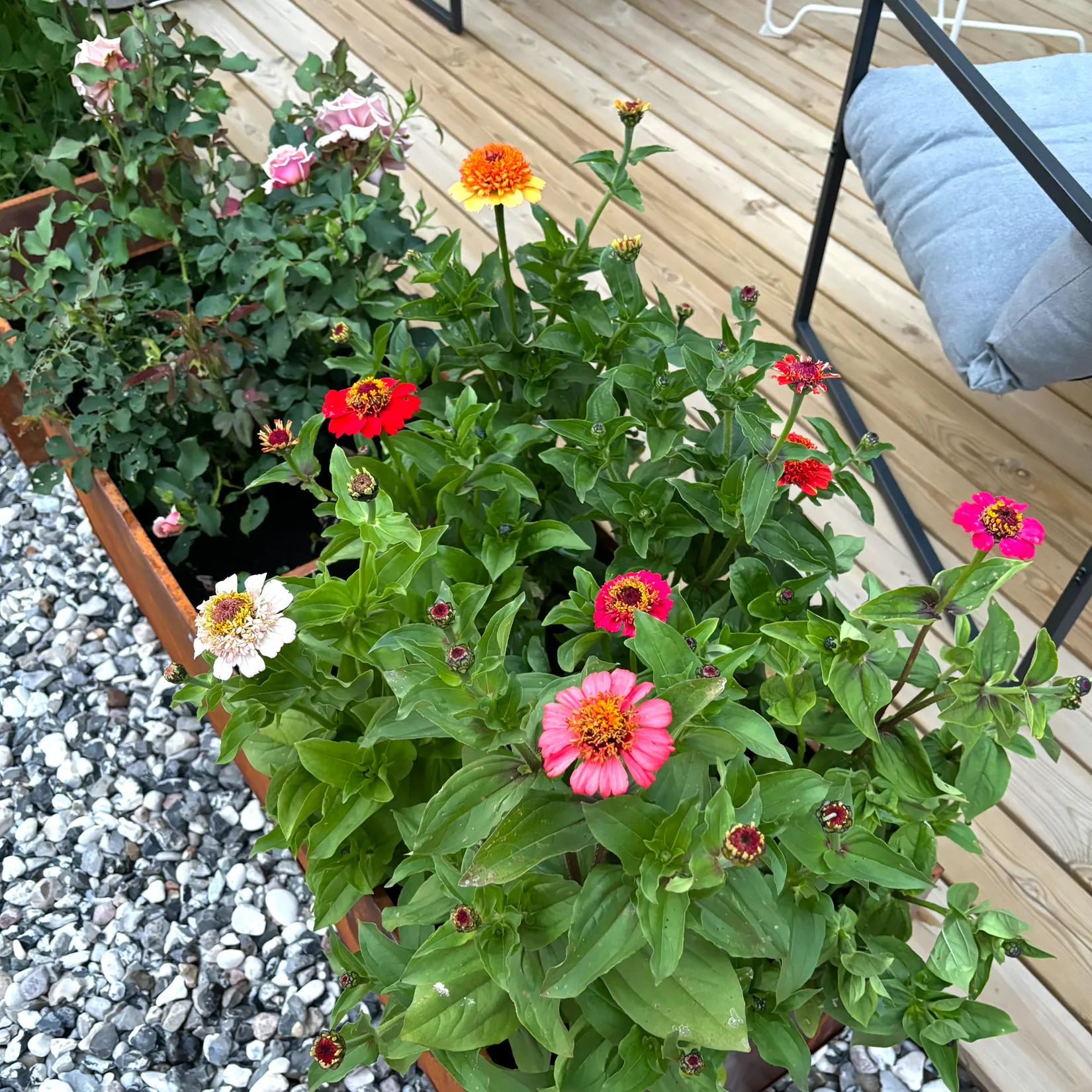 Bostadsrätt, Kopparlönnsvägen 39, 65461 Karlstad, Södra Kroppkärr, Karlstad