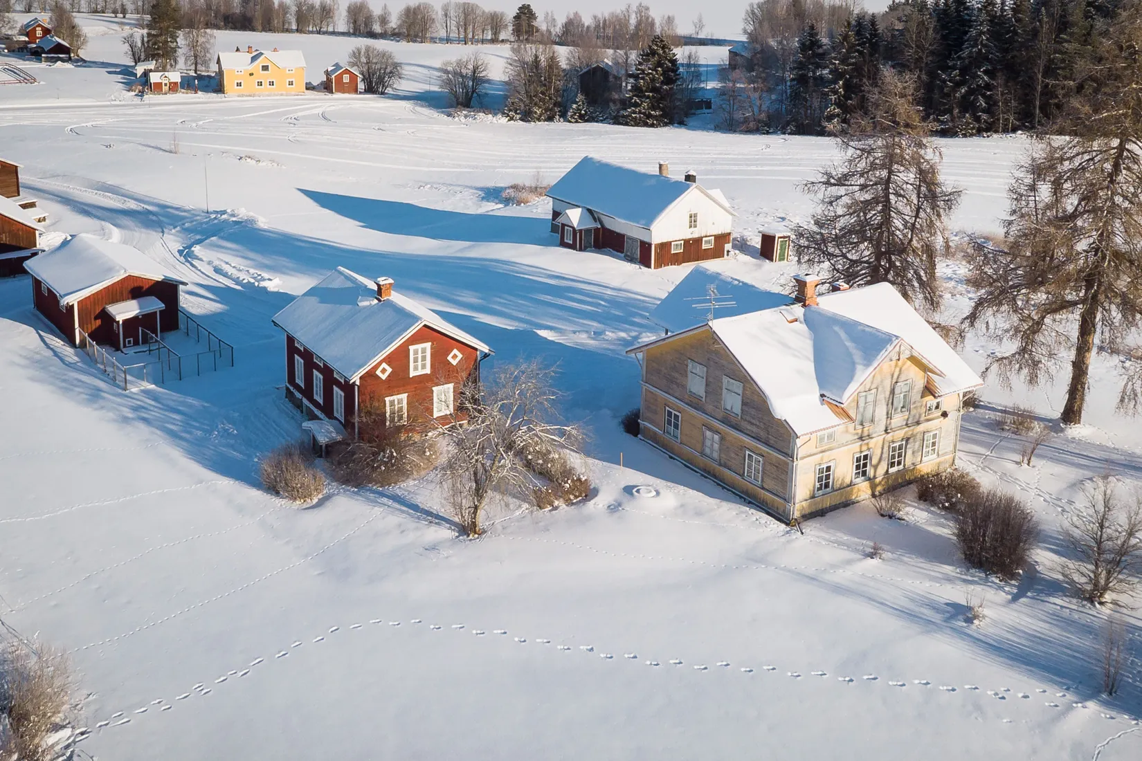 Gård/Skog, Fjäl 435, Lit, Östersund