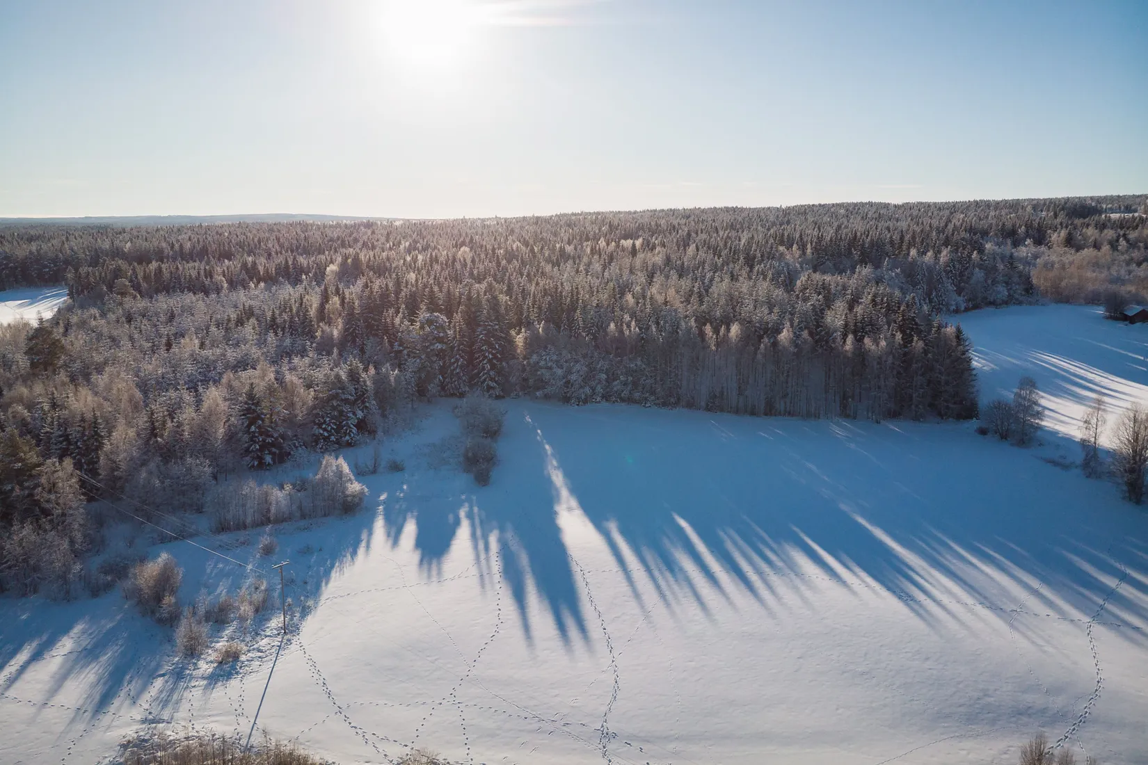 Gård/Skog, Fjäl 435, Lit, Östersund