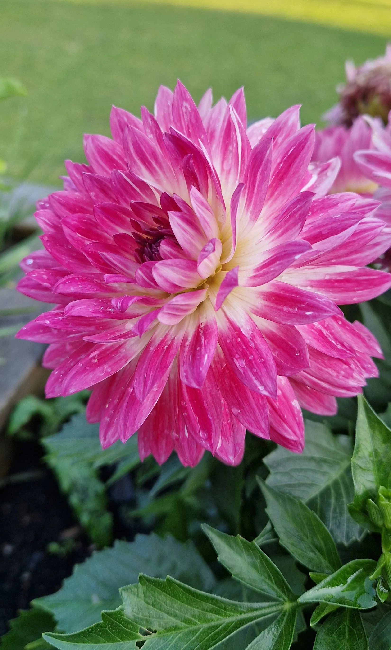 Villa, Gunbovägen 10, Svinninge, Österåker