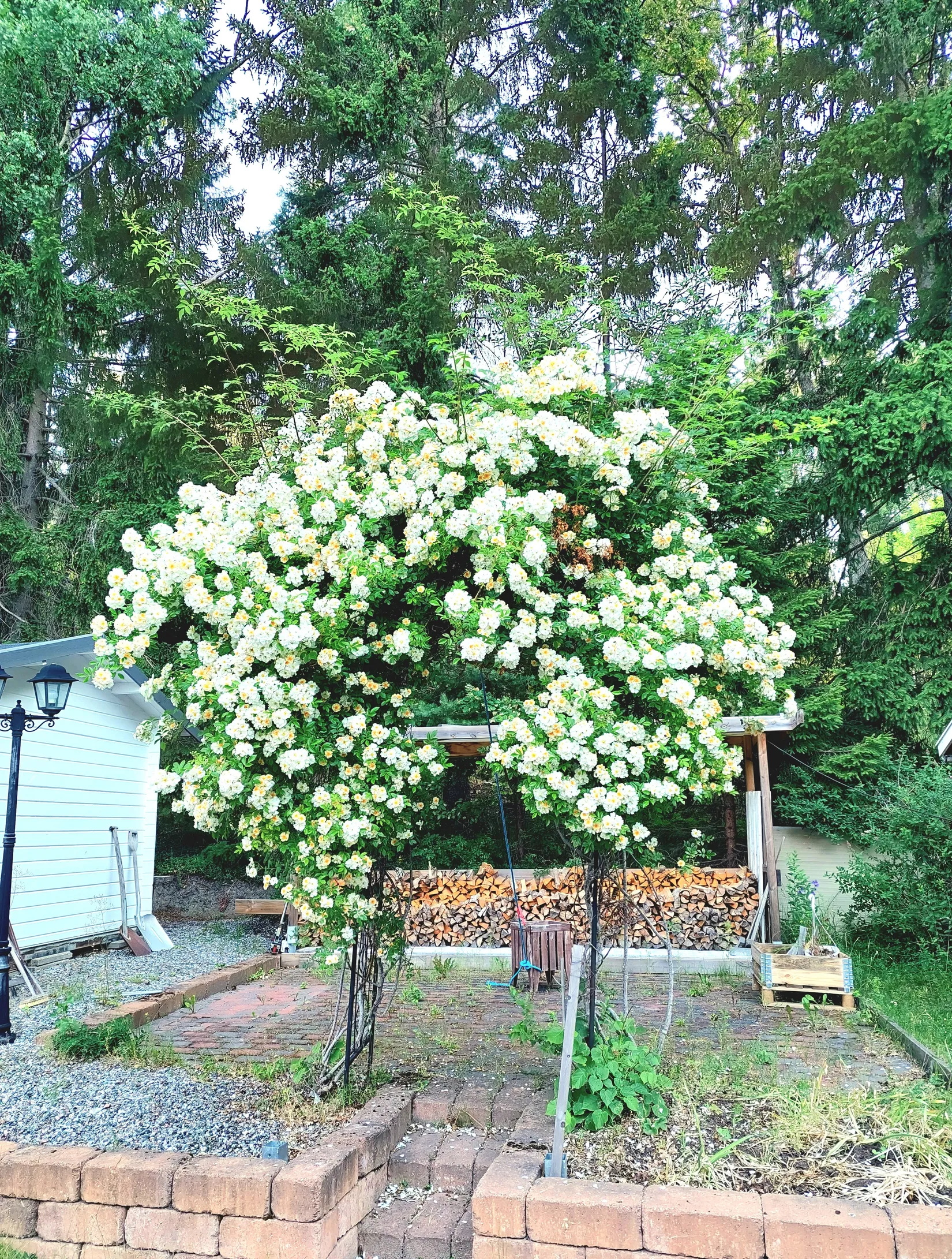 Villa, Gunbovägen 10, Svinninge, Österåker