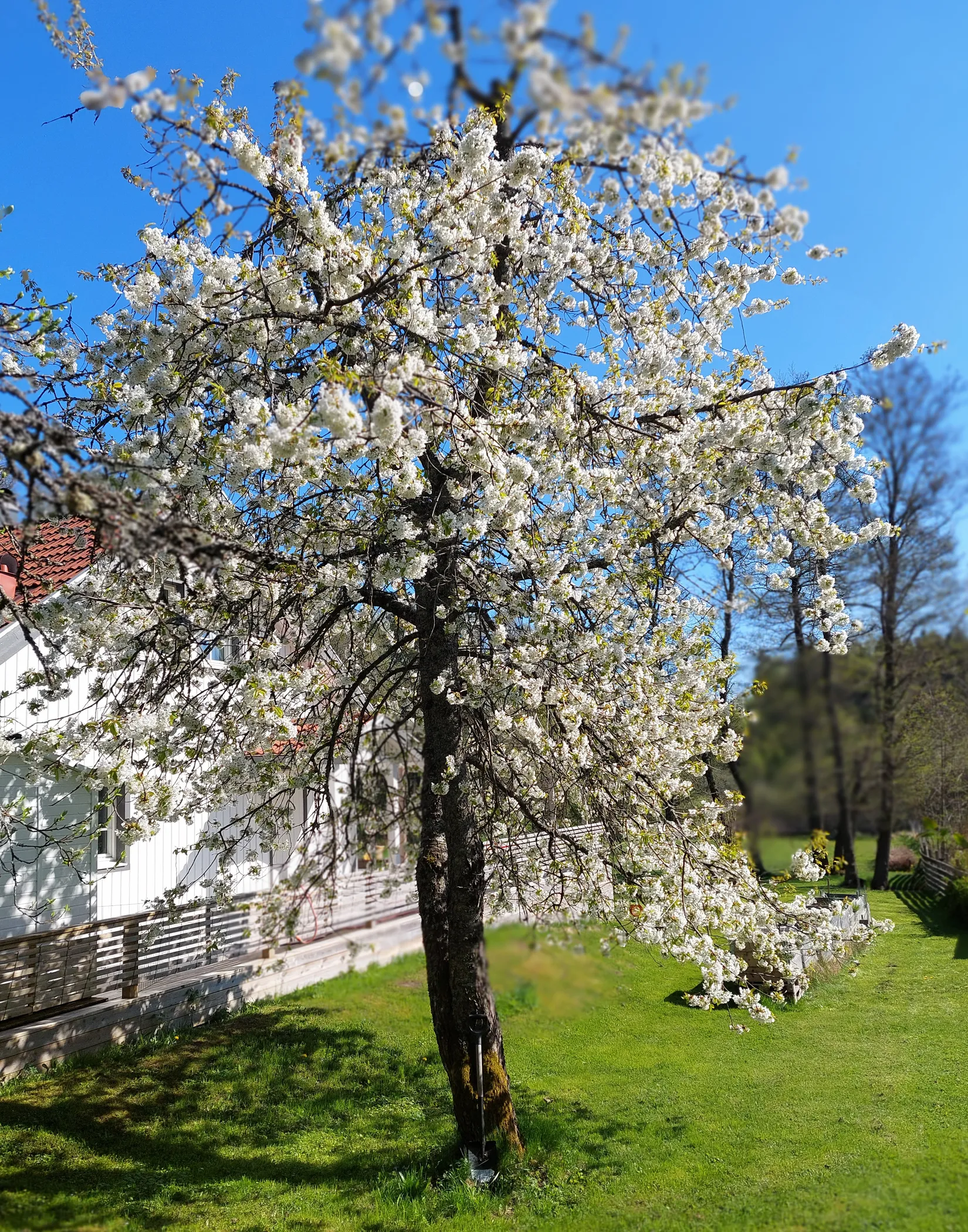 Villa, Gunbovägen 10, Svinninge, Österåker