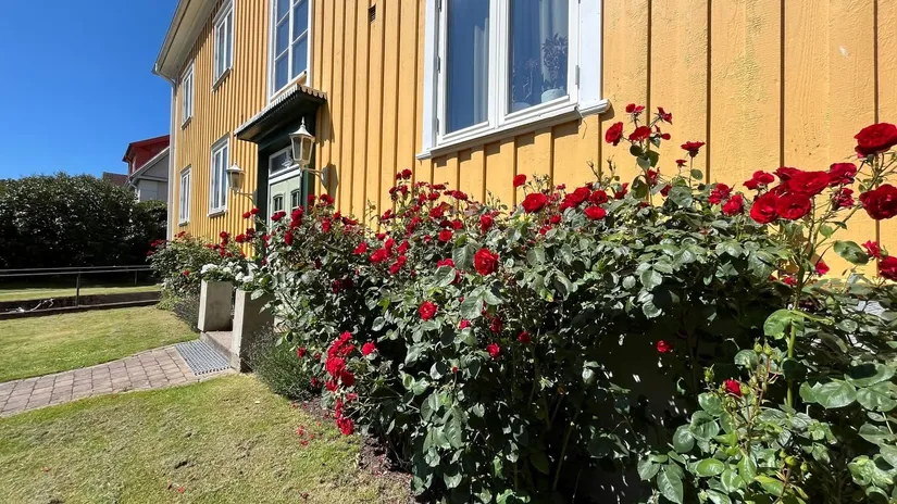 Bostadsrätt, Falckens Väg 28, Väster, Halmstad