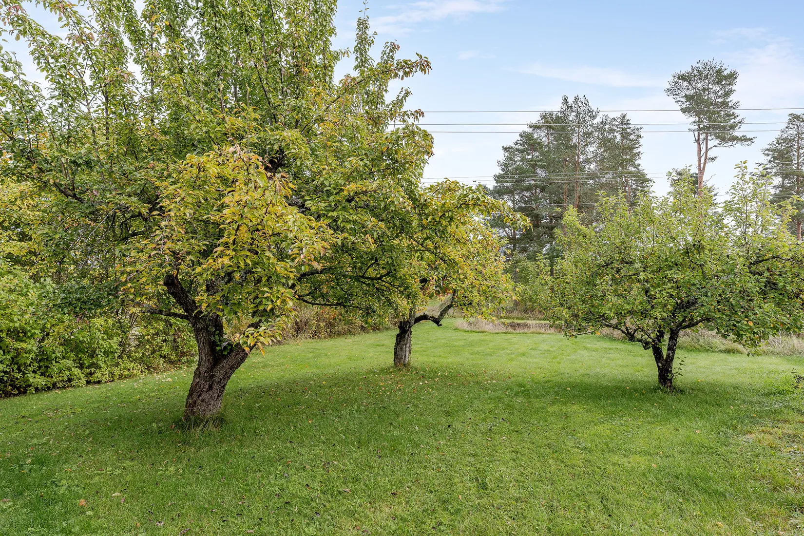 Gård/Skog, Berge 250, Bjuråker, Hudiksvall