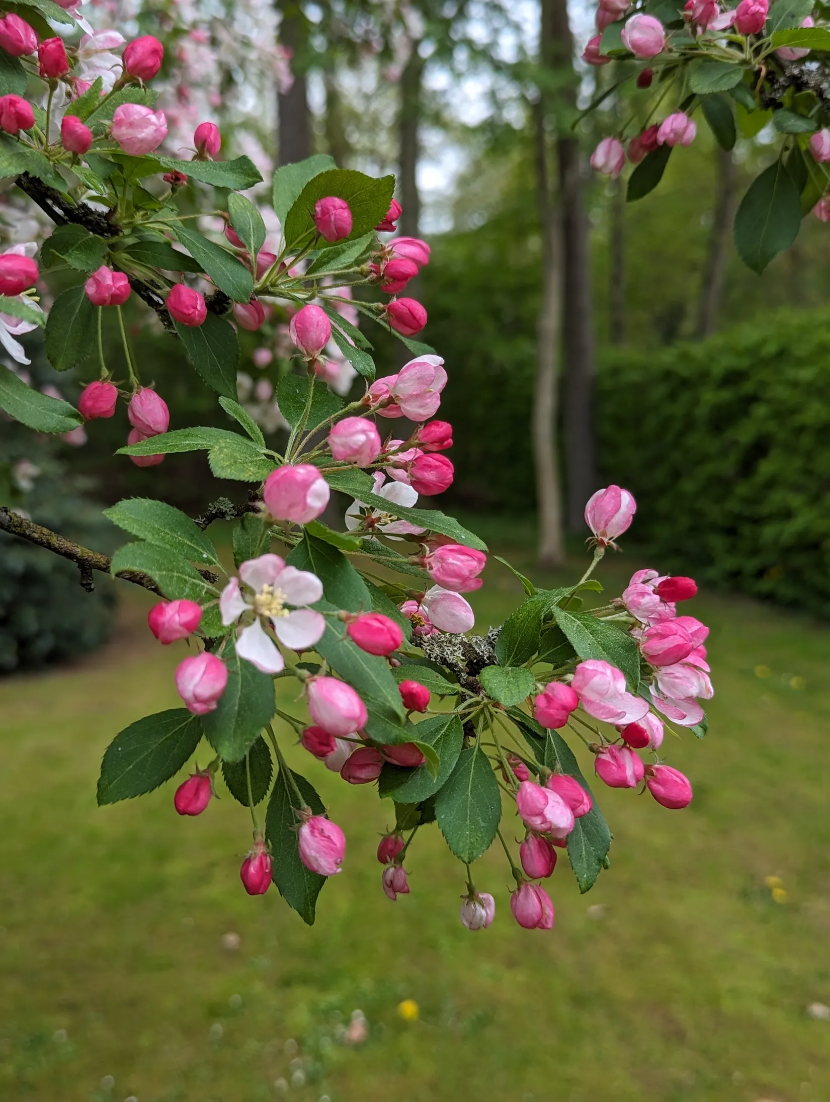 Villa, Skatteberga 1434, Södra Sandby, Lund