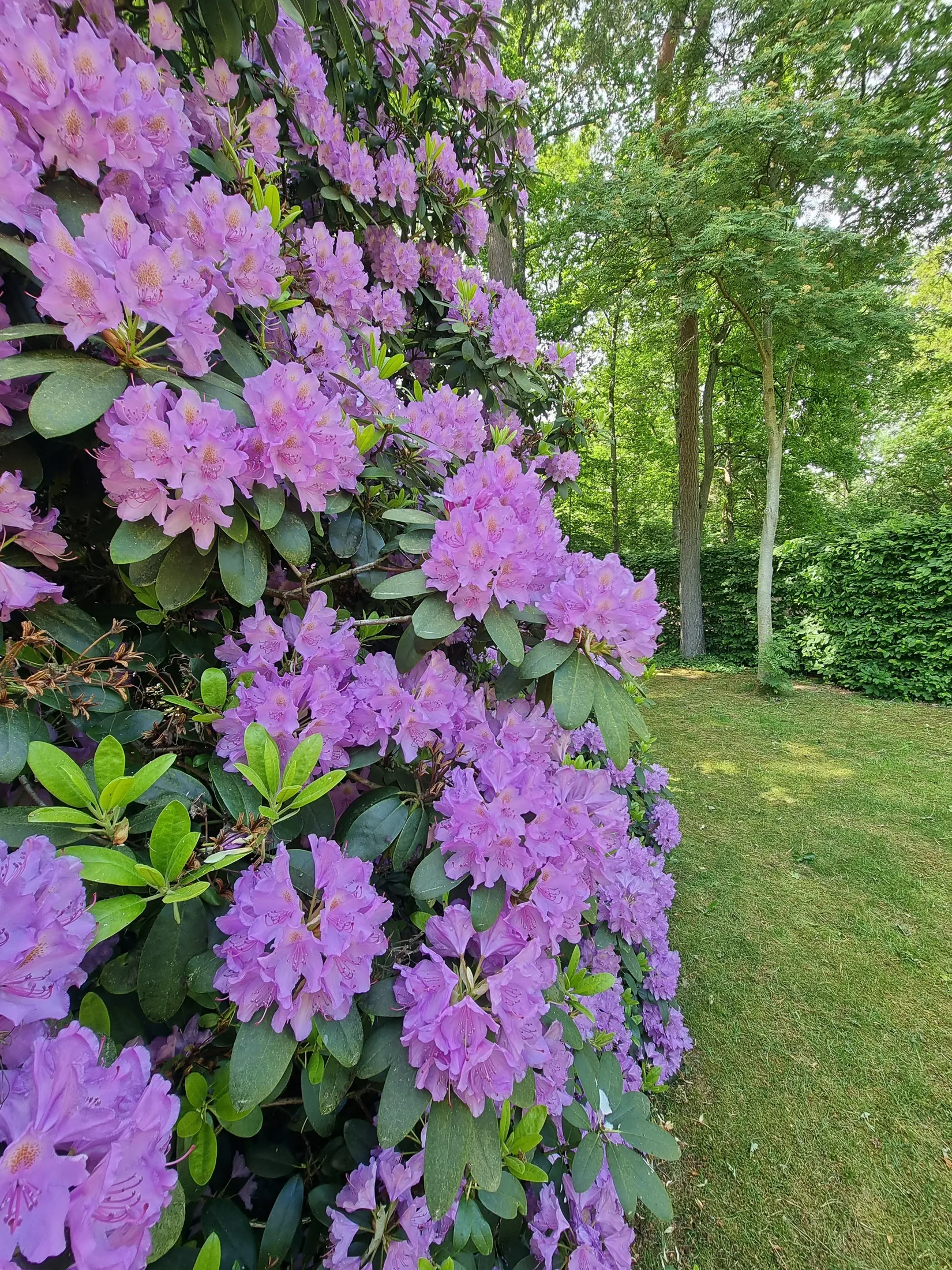 Villa, Skatteberga 1434, Södra Sandby, Lund