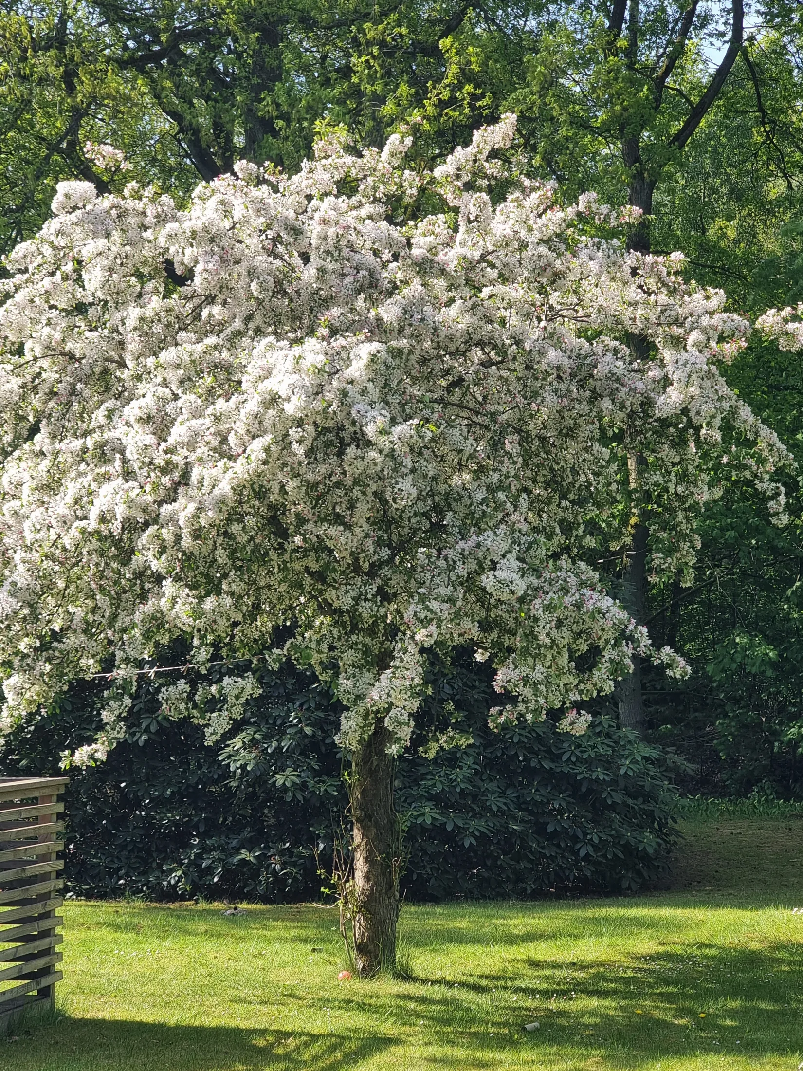 Villa, Skatteberga 1434, Södra Sandby, Lund