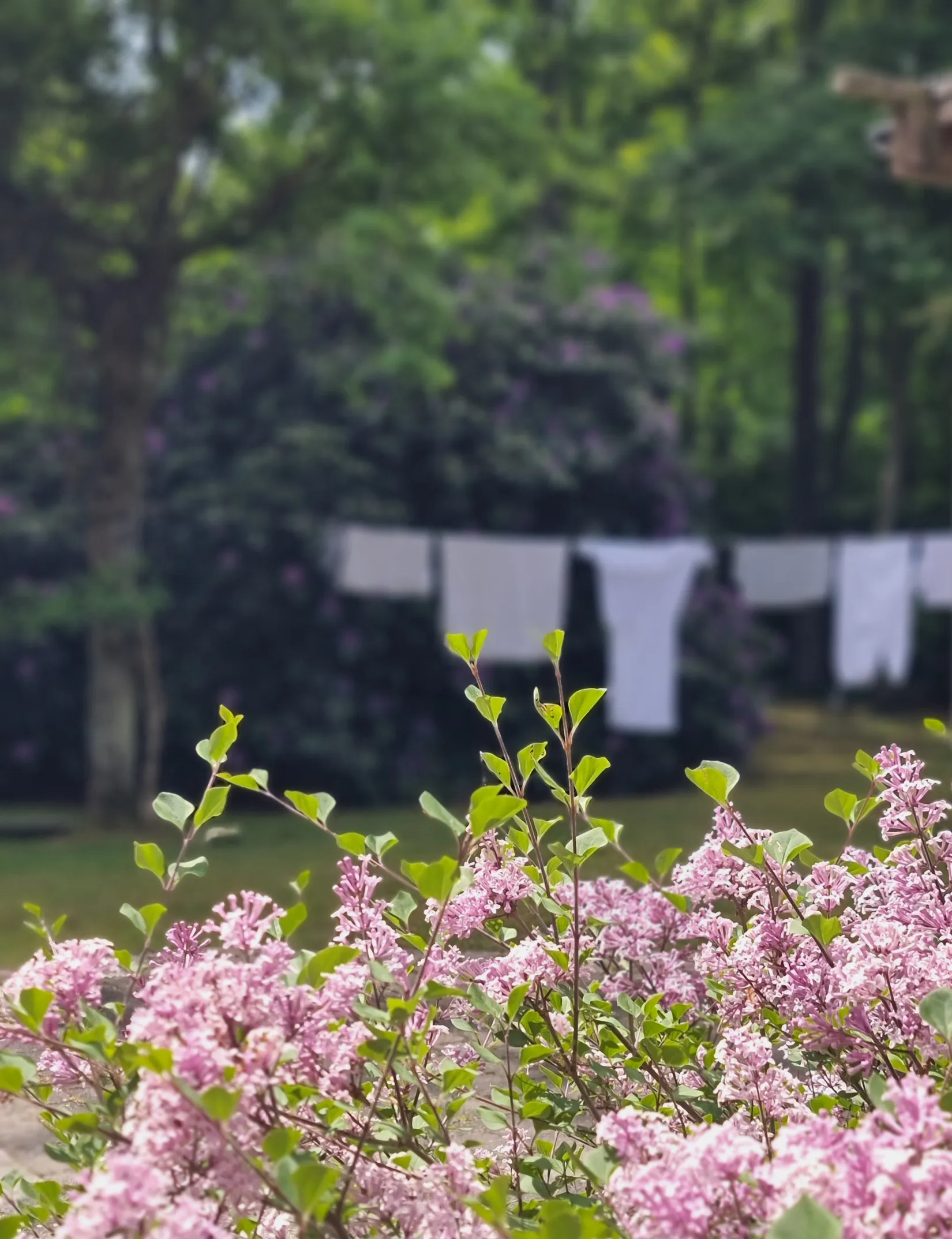 Villa, Skatteberga 1434, Södra Sandby, Lund