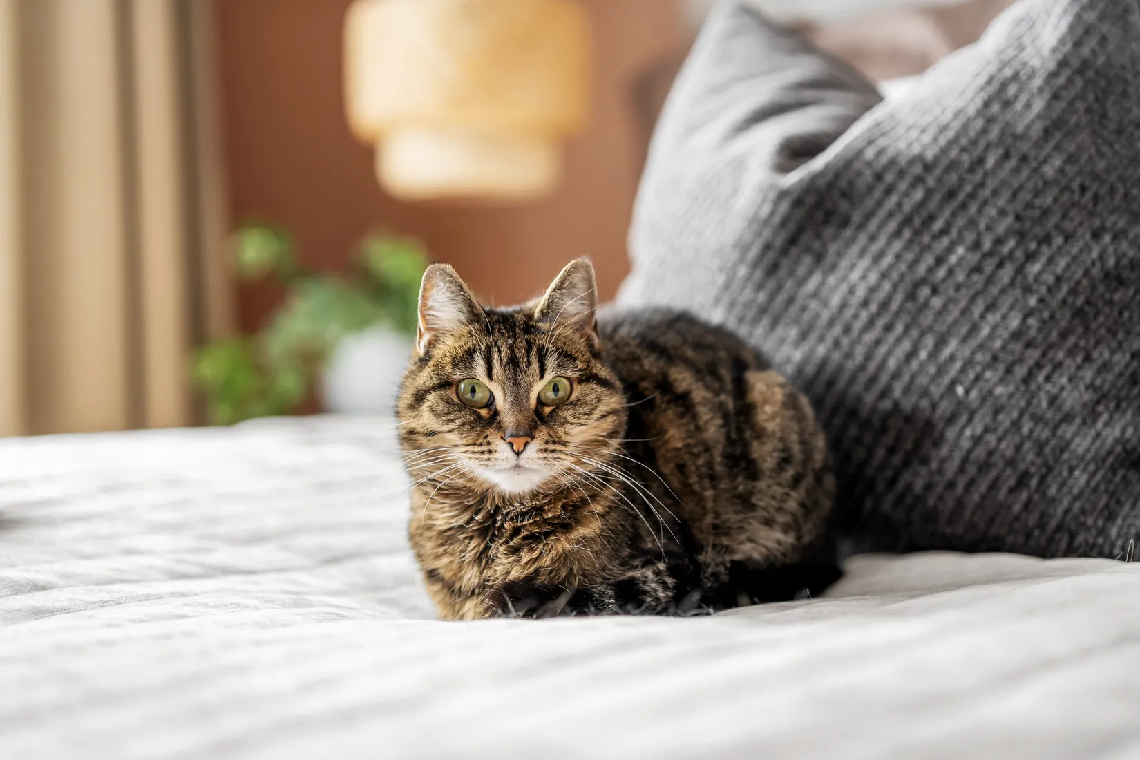 Villa, Svala 216B, Njurunda, Sundsvall