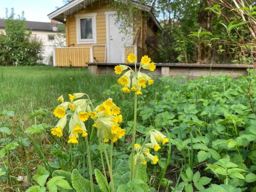 Villa, Snättringevägen 74, Snättringe, Huddinge