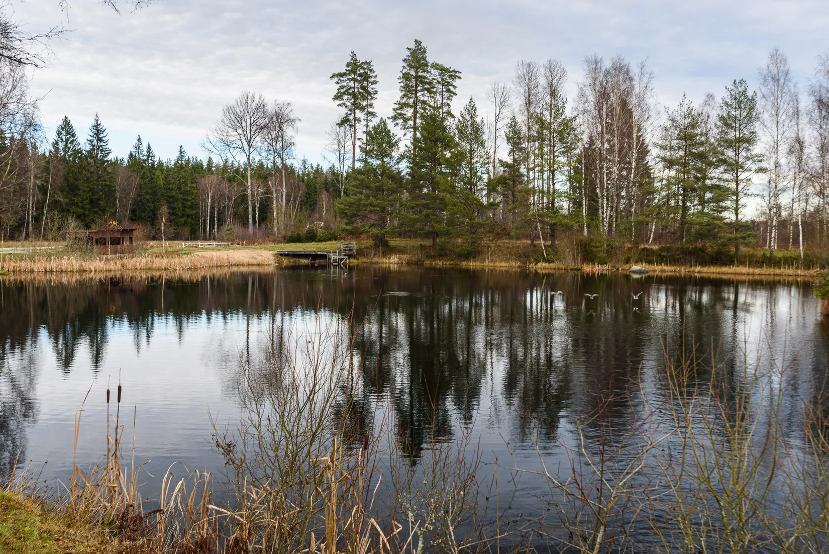 Gård/Skog, Blädinge Boda 1, Blädinge, Alvesta