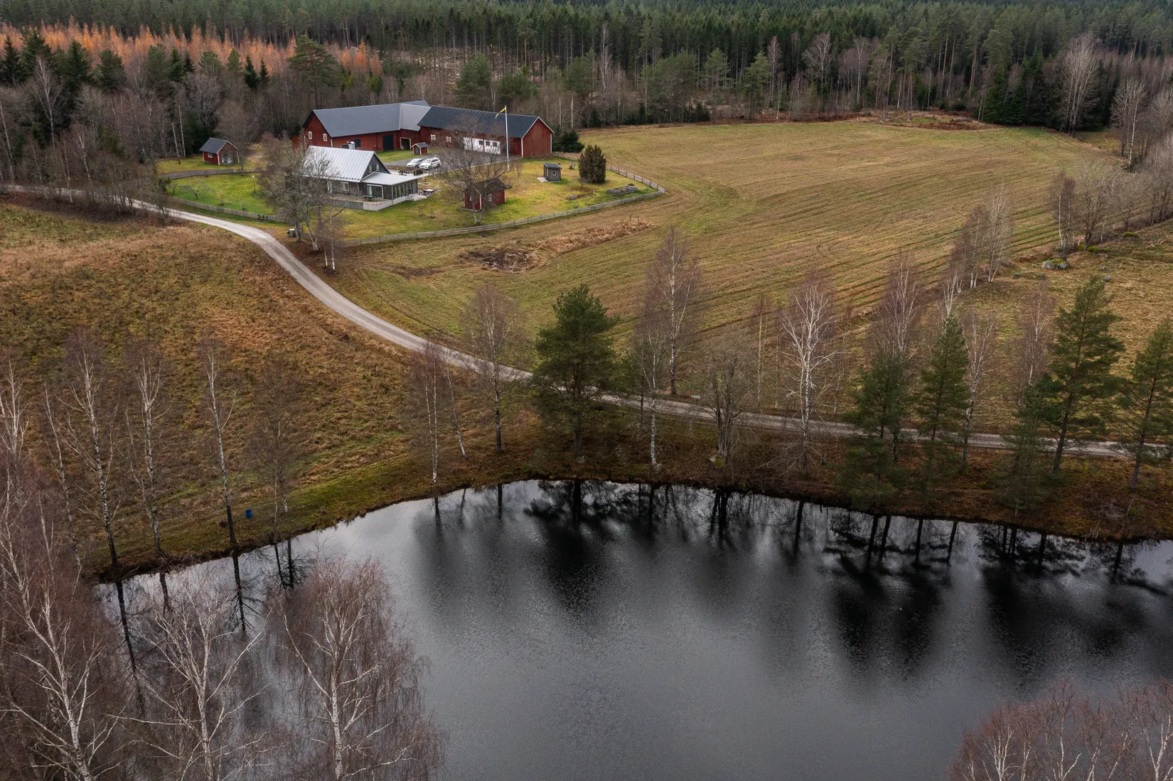 Gård/Skog, Blädinge Boda 1, Blädinge, Alvesta