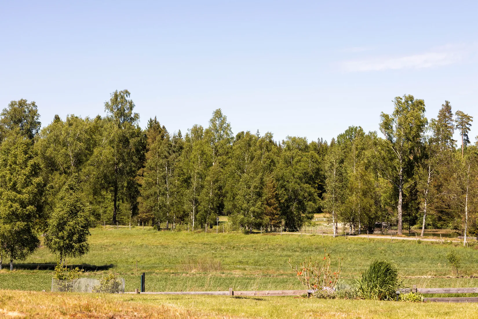 Gård/Skog, Blädinge Boda 1, Blädinge, Alvesta