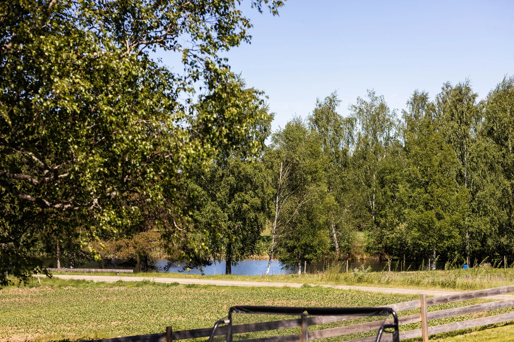 Gård/Skog, Blädinge Boda 1, Blädinge, Alvesta