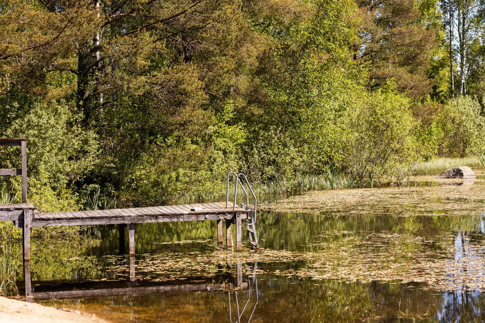 Gård/Skog, Blädinge Boda 1, Blädinge, Alvesta