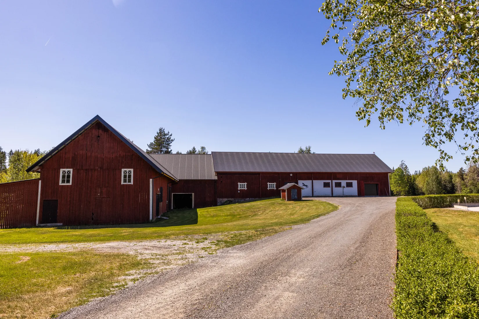 Gård/Skog, Blädinge Boda 1, Blädinge, Alvesta