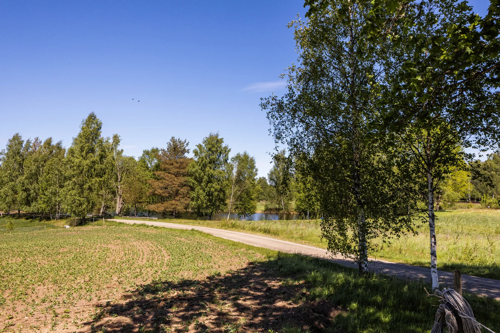 Gård/Skog, Blädinge Boda 1, Blädinge, Alvesta
