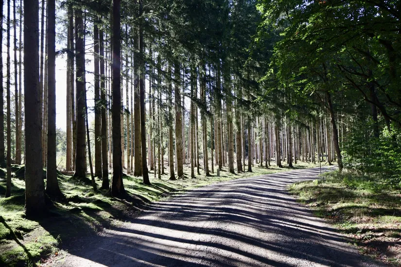 Fritidshus, Karins väg 7, Örkelljunga