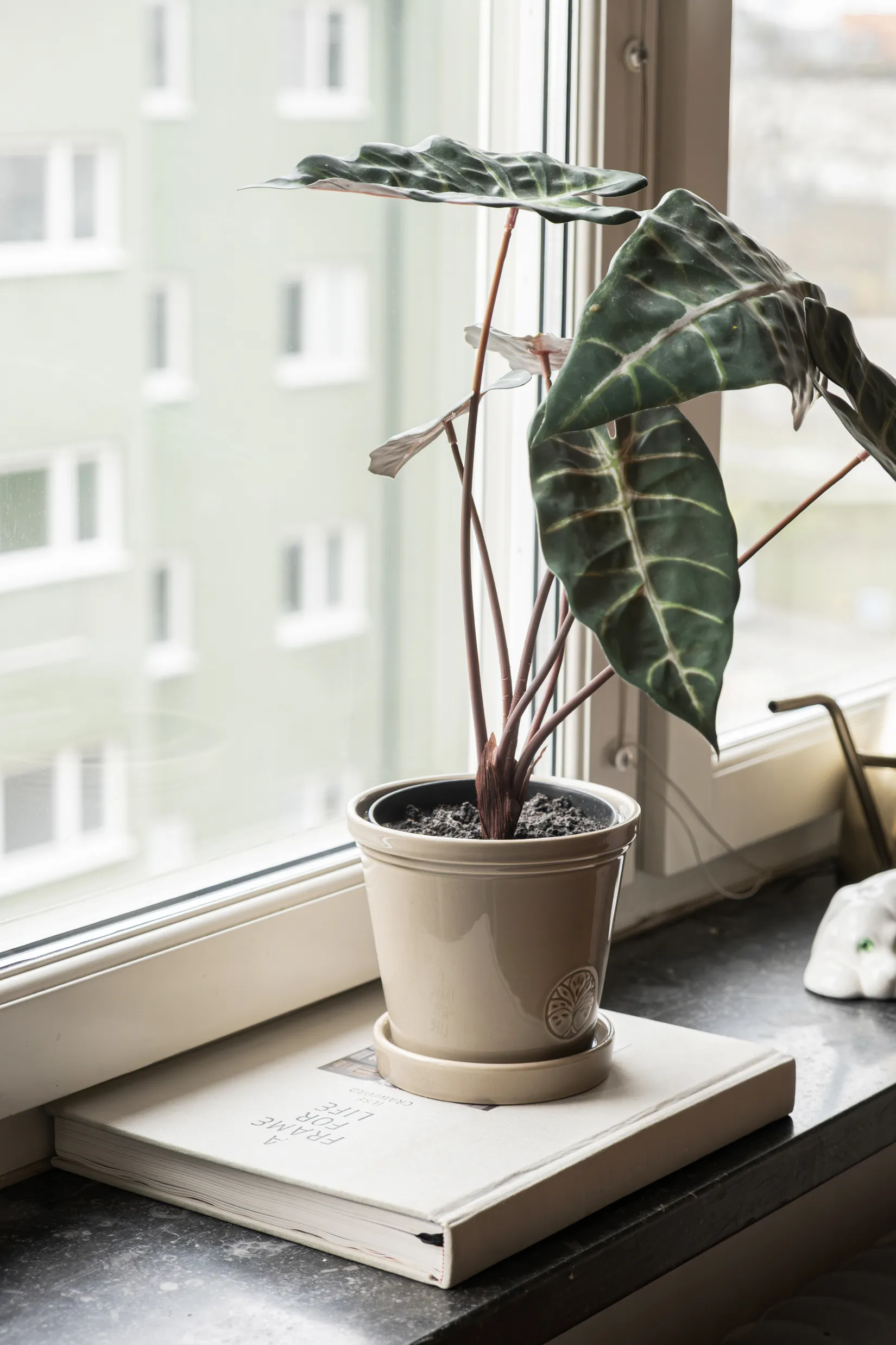 Bostadsrätt, Lönngatan 44C, Lönngården, Malmö