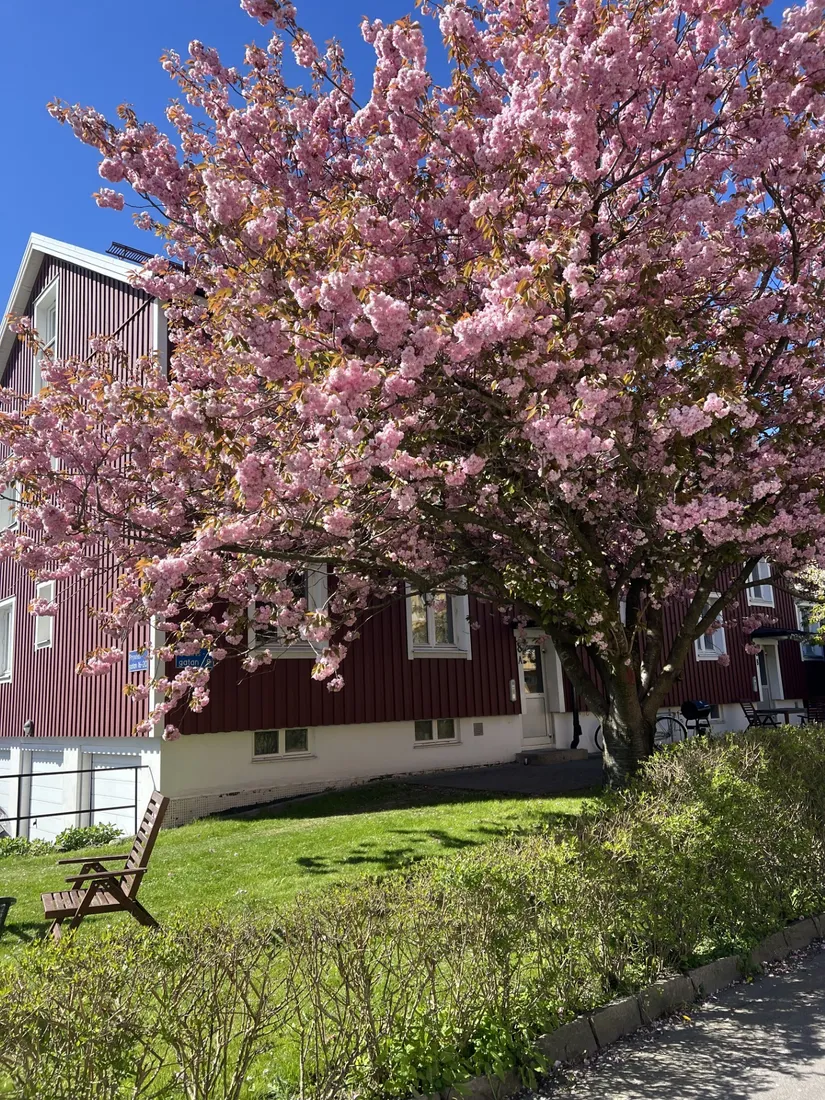 Bostadsrätt, Gullrisgatan 8A, Centrala Hisingen, Göteborg