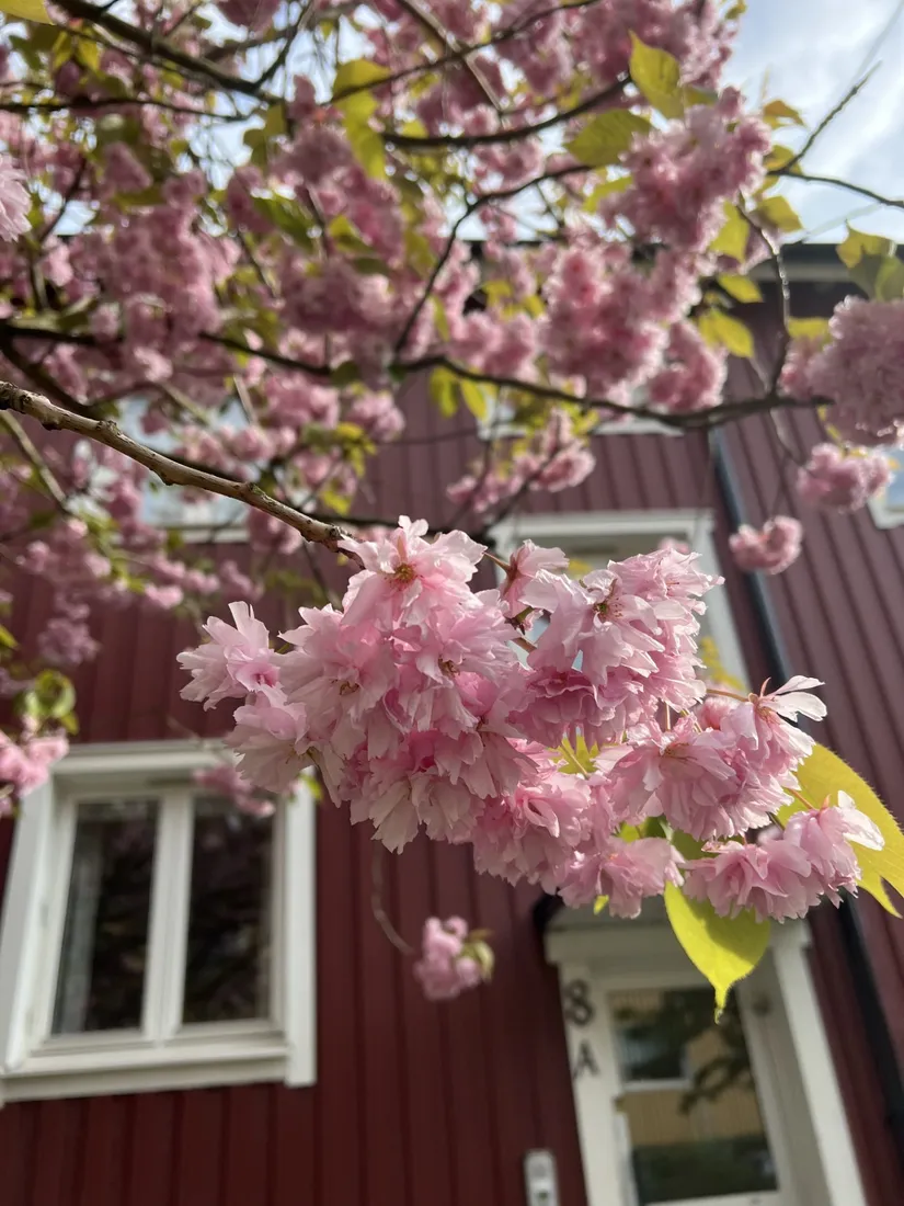 Bostadsrätt, Gullrisgatan 8A, Centrala Hisingen, Göteborg