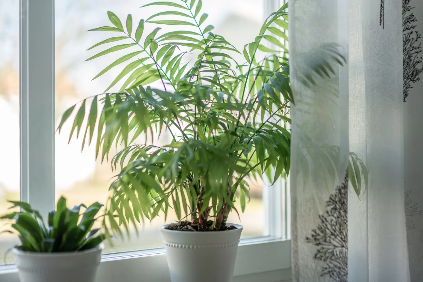 Bostadsrätt, Härlundagatan 27E, Skara