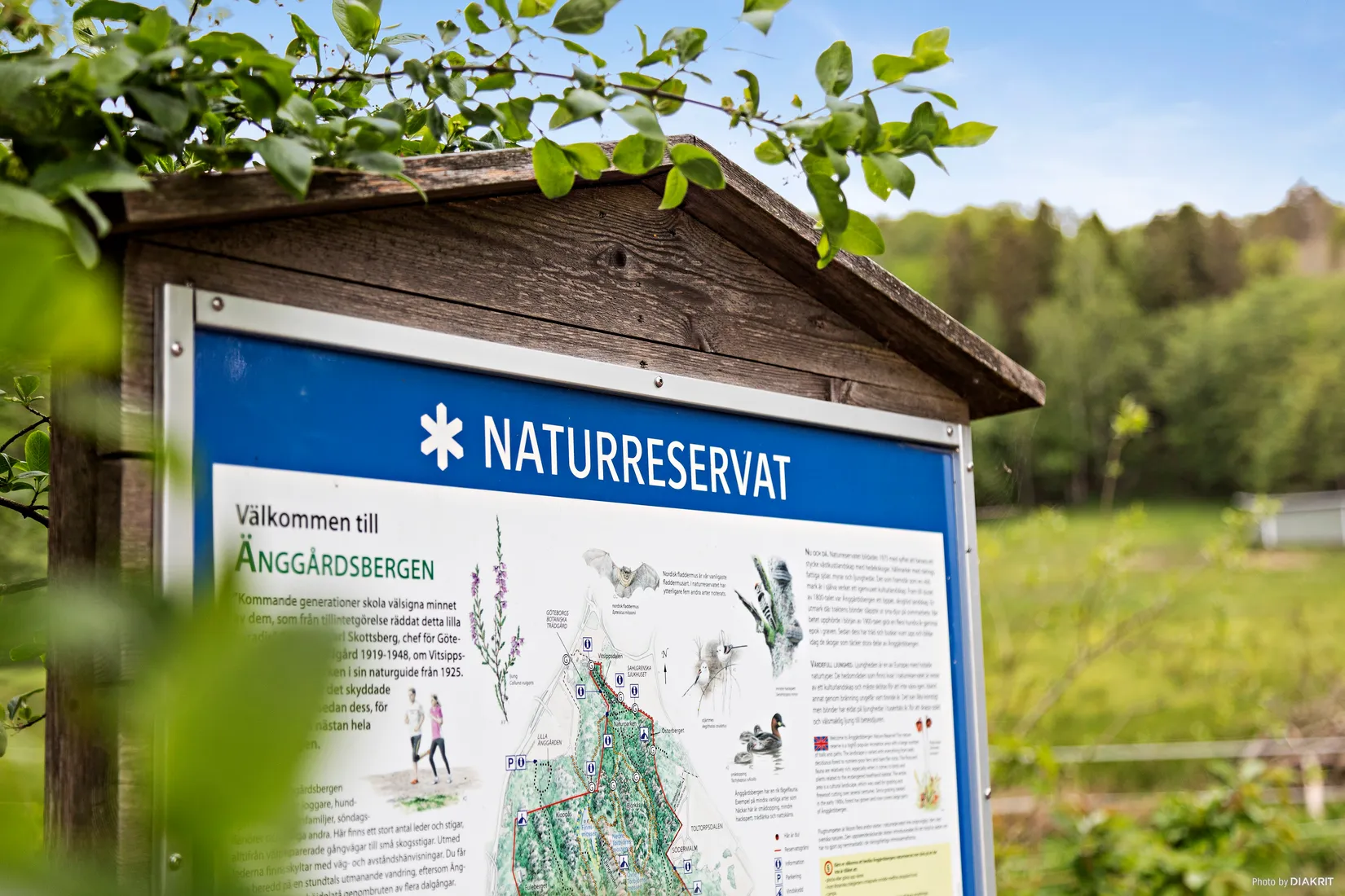 Villa, Västra Eklanda höjd 89, Mölndal