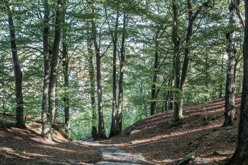 Bostadsrätt, Ostgatan 14, Kallebäck, Göteborg