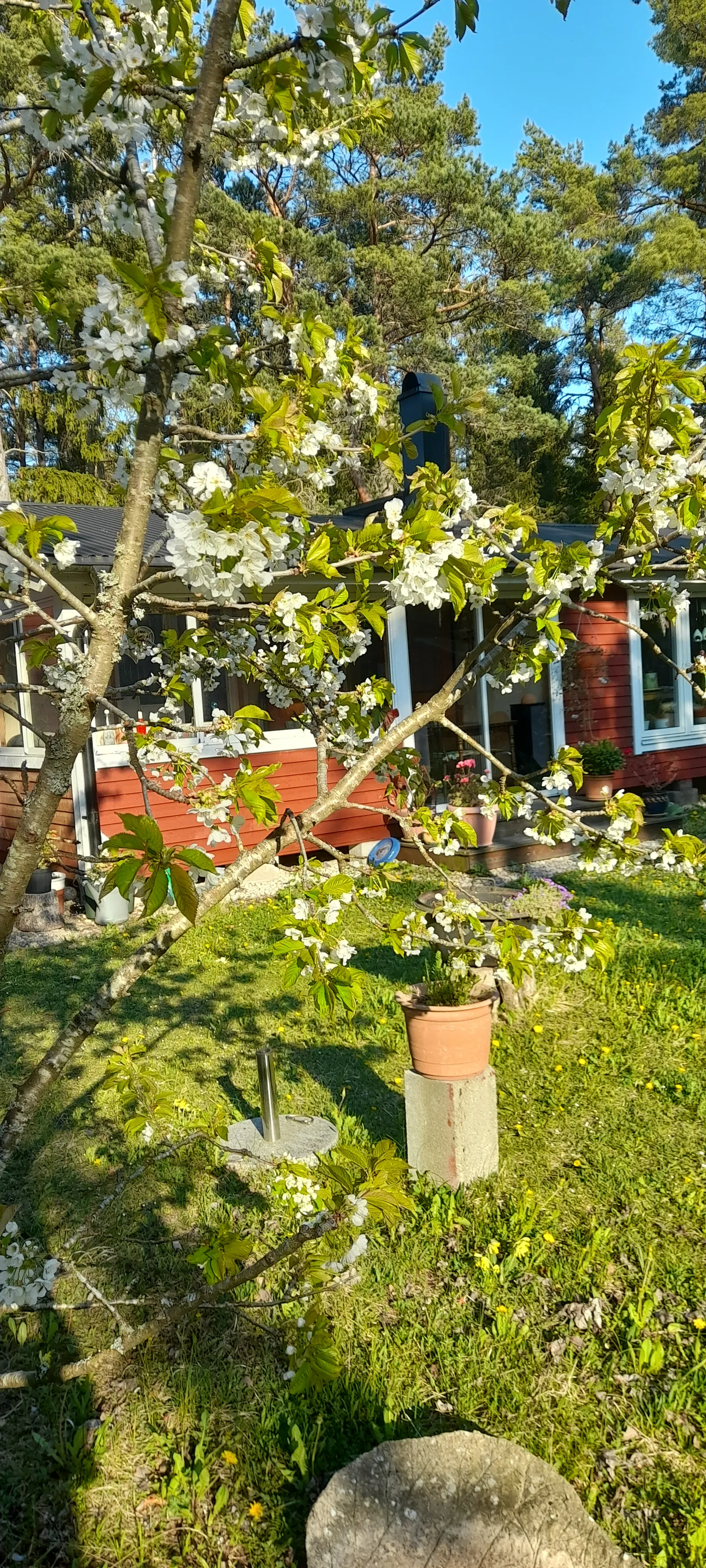 Villa, Kräklingbo Skåne 932, Gotland