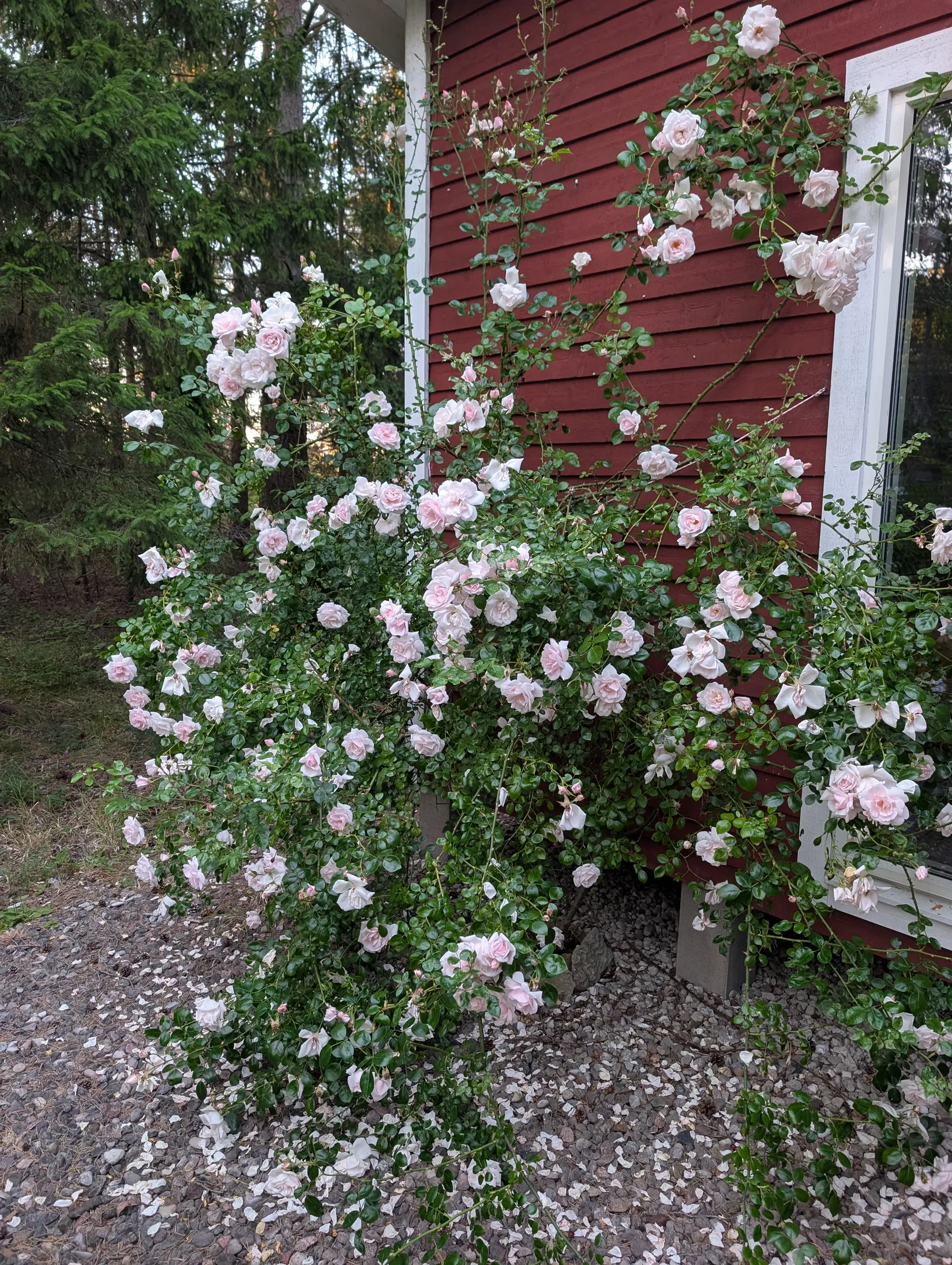 Villa, Kräklingbo Skåne 932, Gotland