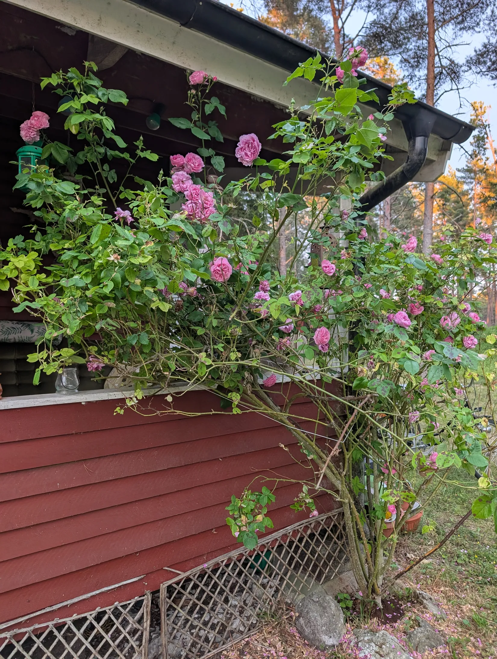 Villa, Kräklingbo Skåne 932, Gotland