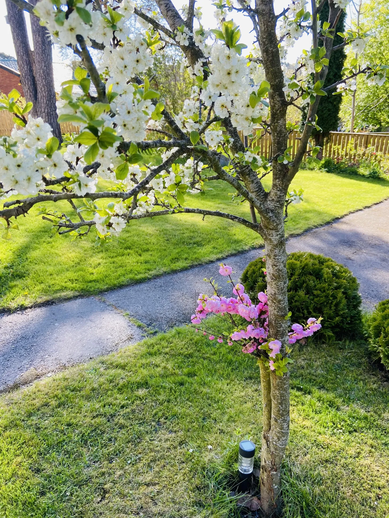 Radhus, Soldatvägen 8E, Olsbacka, Gävle
