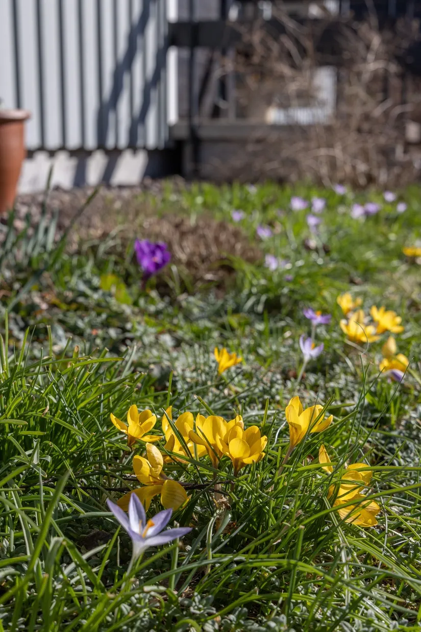 Villa, Tulpangatan 14, Svalliden, Oskarshamn