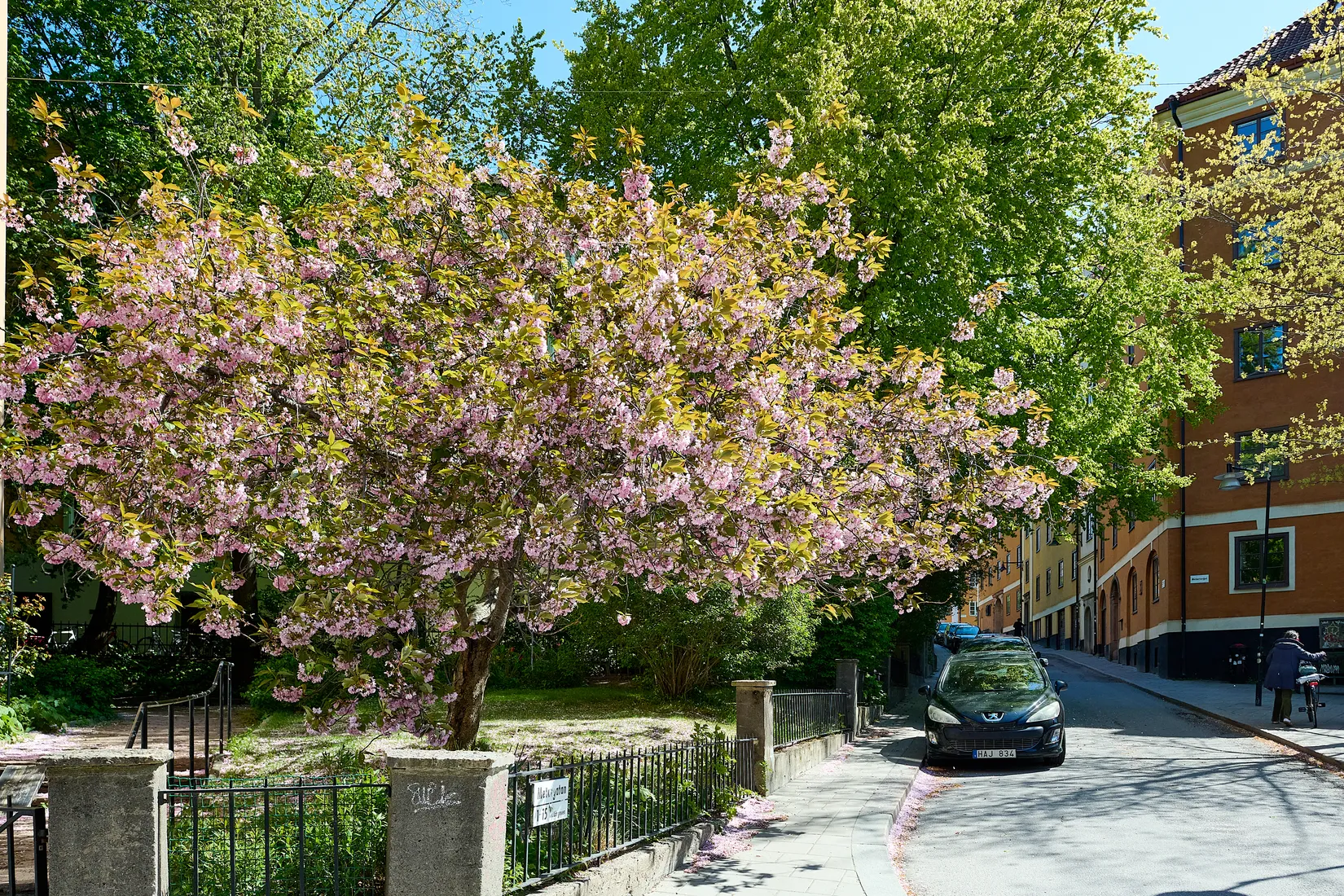 Bostadsrätt, Metargatan 13, Södermalm Sofia, Stockholm