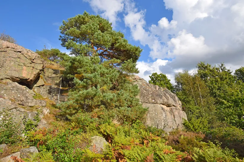 Villa, Dalen 9, Halland, Varberg