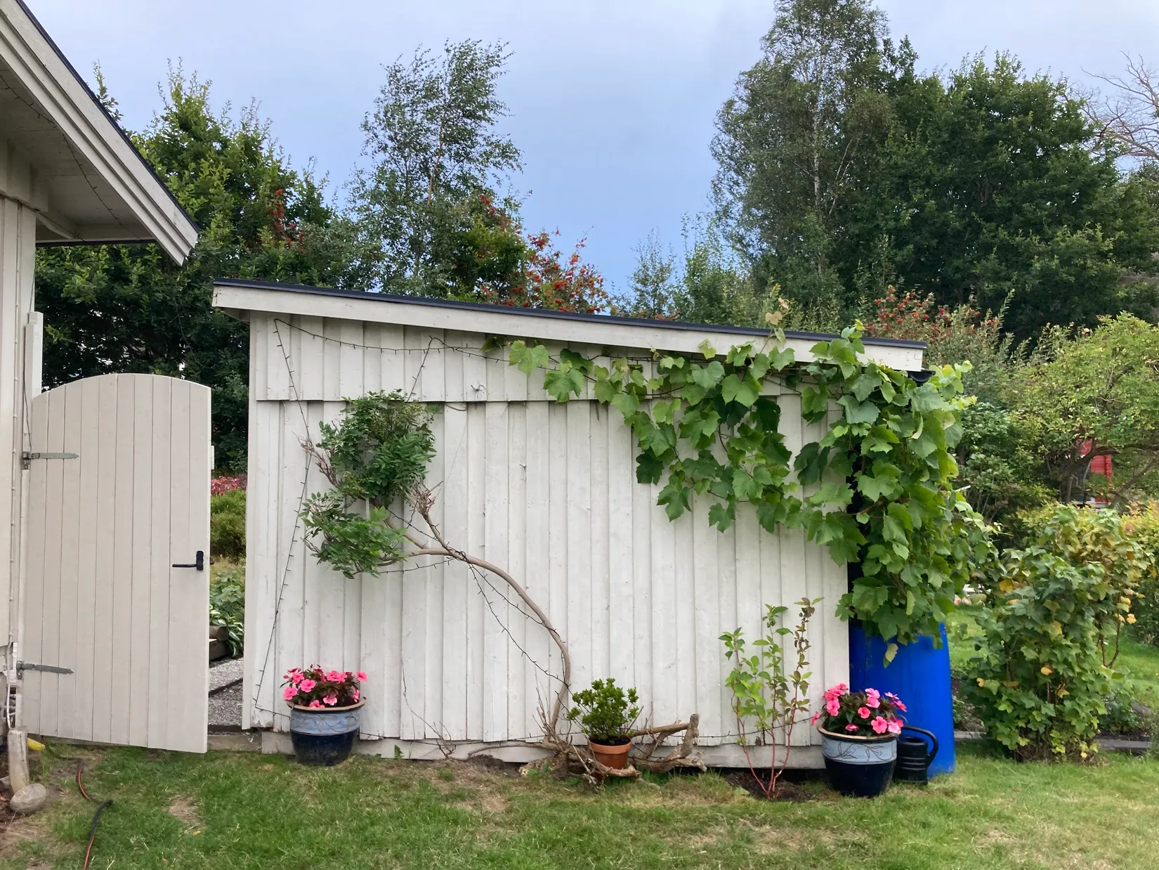 Fritidshus, Köleröd 43, Tjörn