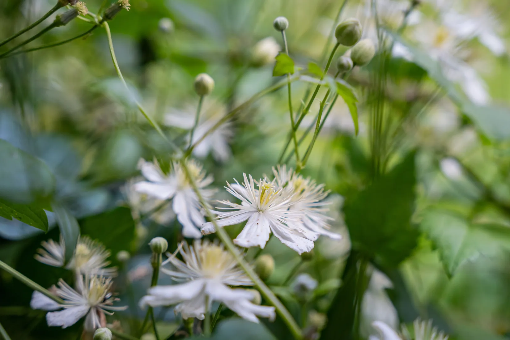 Fritidshus, Strandvägen 6, Hävla, Finspång