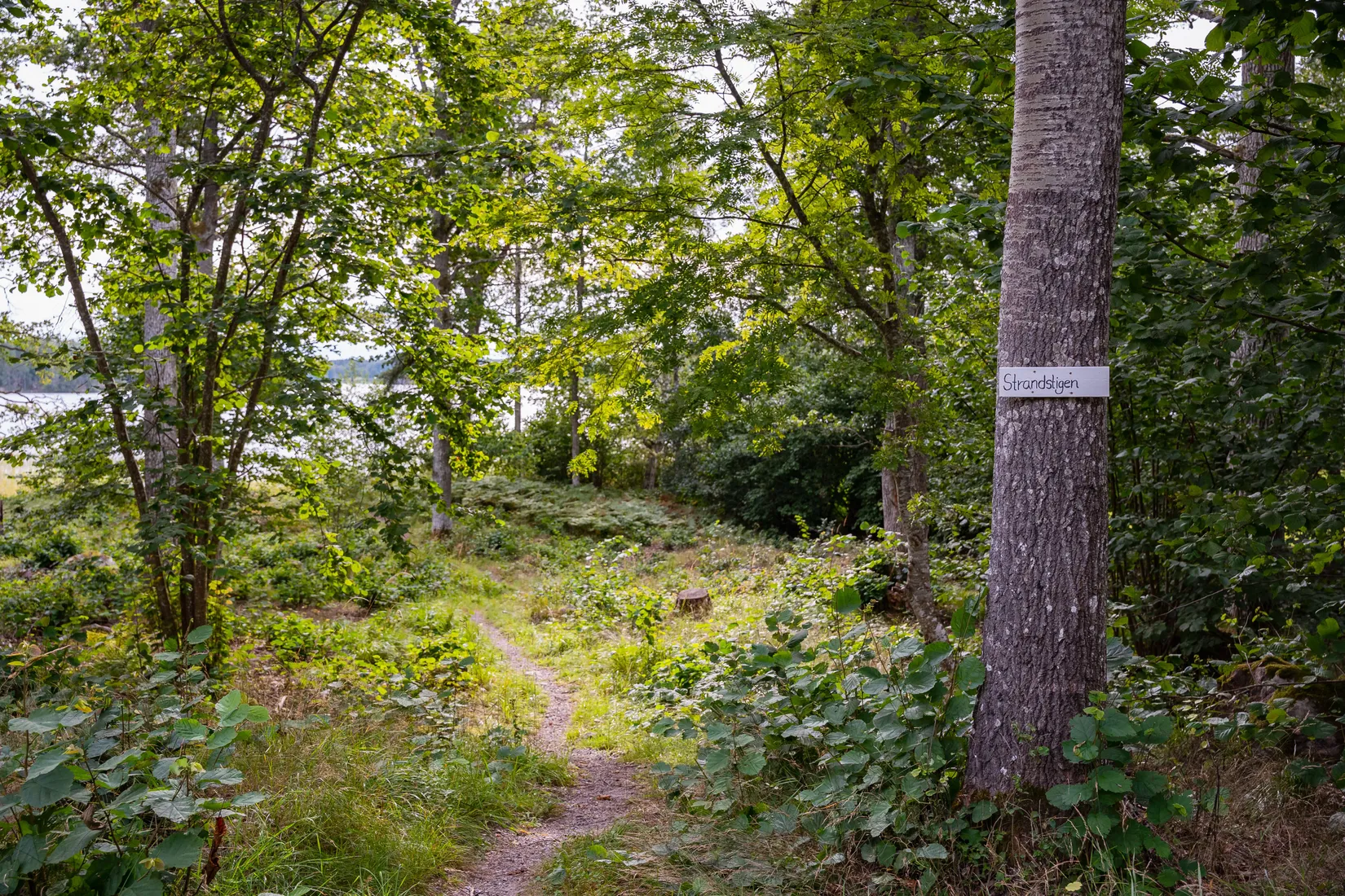 Fritidshus, Strandvägen 6, Hävla, Finspång