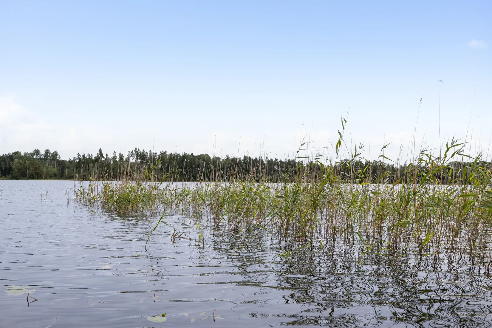 Fritidshus, Strandvägen 6, Hävla, Finspång
