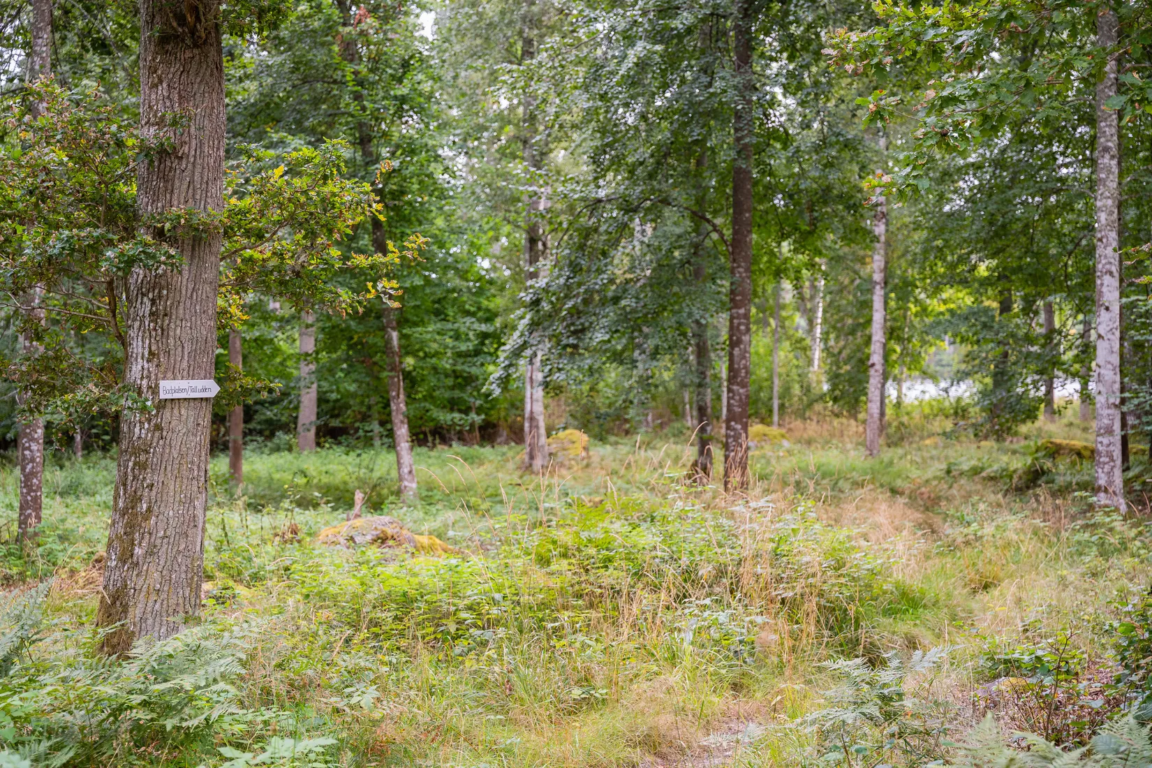 Fritidshus, Strandvägen 6, Hävla, Finspång