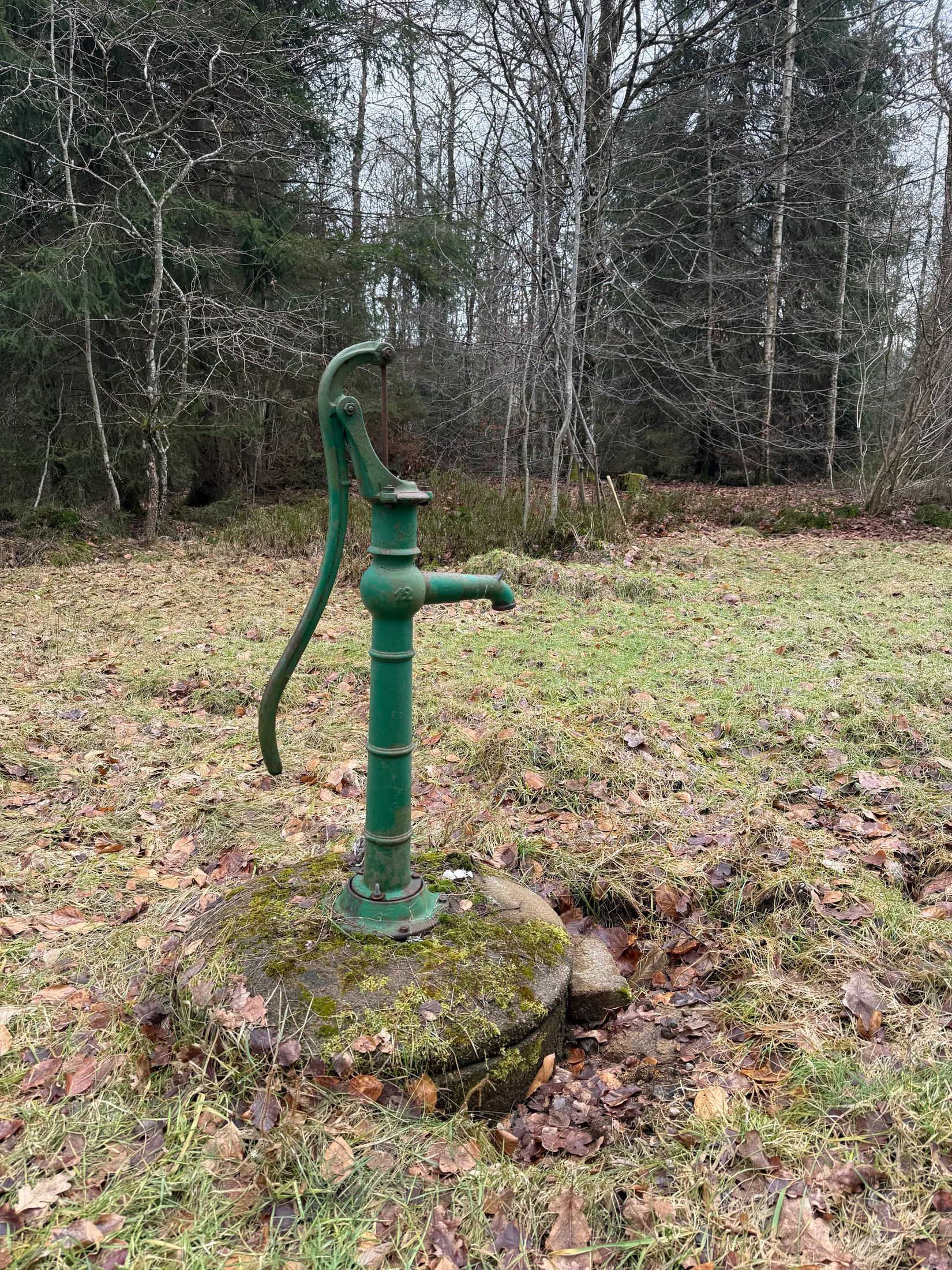 Tomt, Åkarp 459, Eket, Örkelljunga