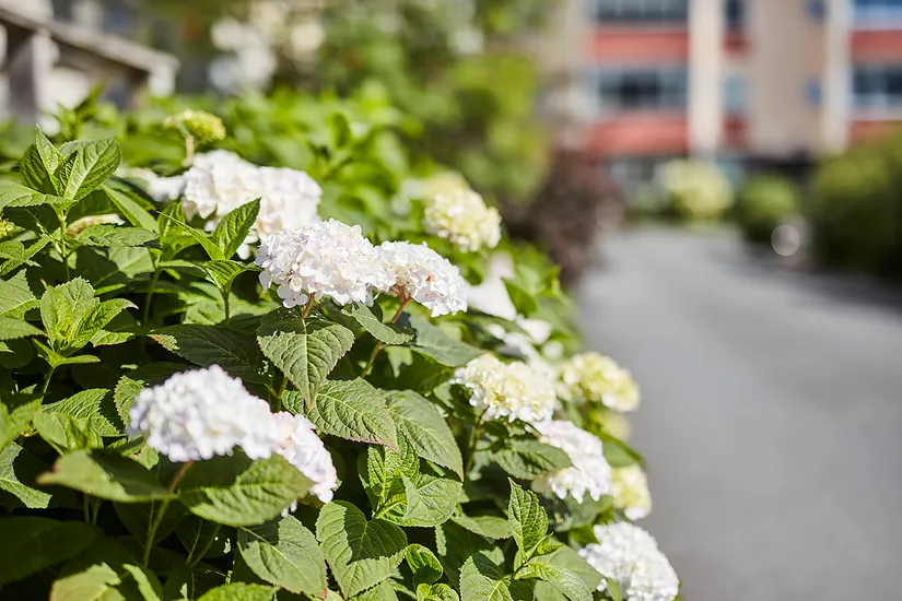 Bostadsrätt, Kungsgatan 21, Jönköping Söder, Jönköping