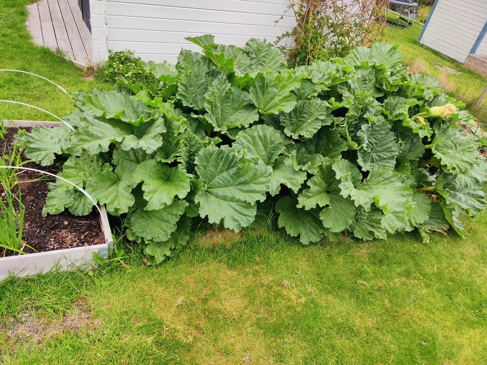 Villa, Skånegatan 19, Valla, Katrineholm