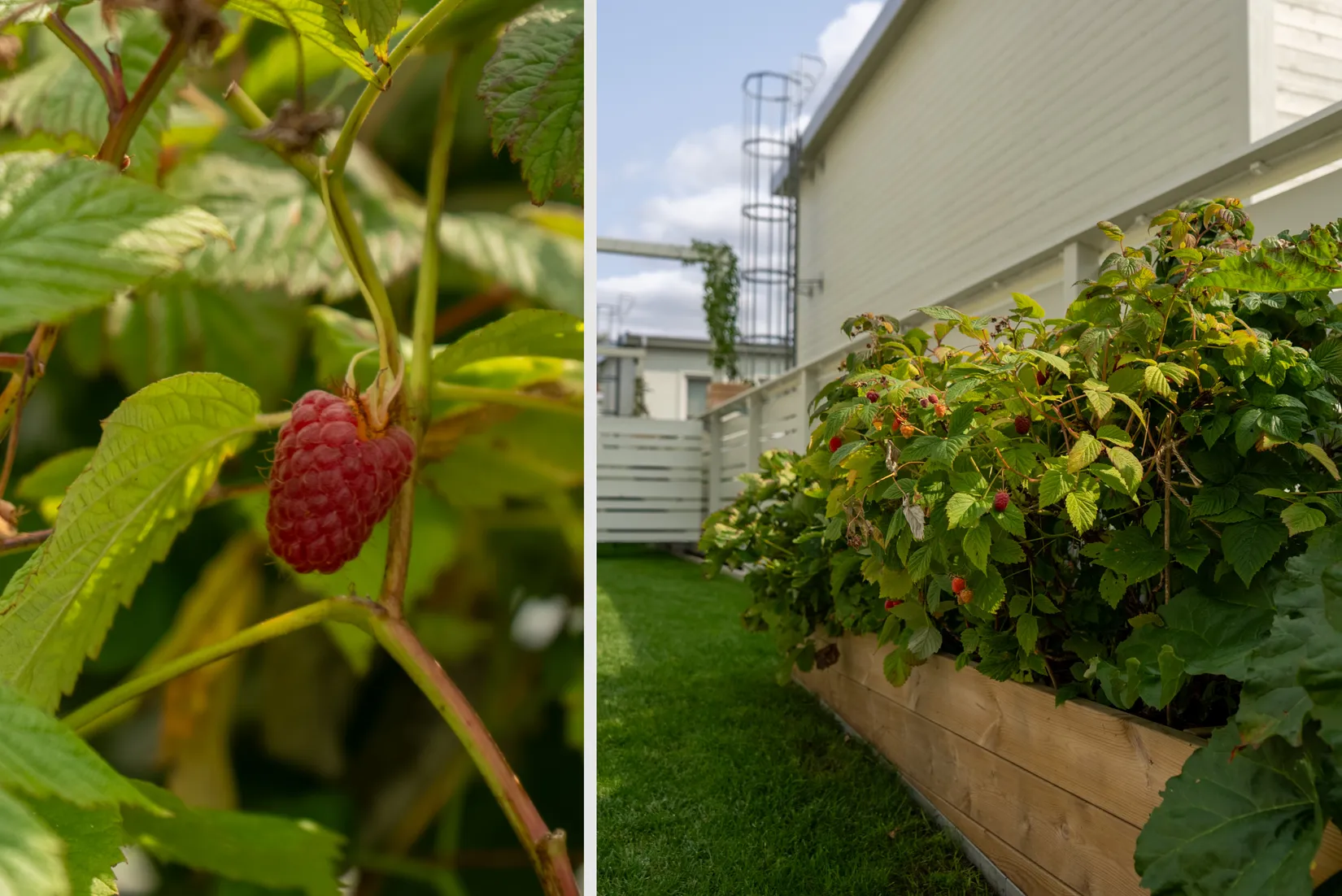 Bostadsrätt, Radhus, Viggholmsvägen 65, Skärholmen, Stockholm