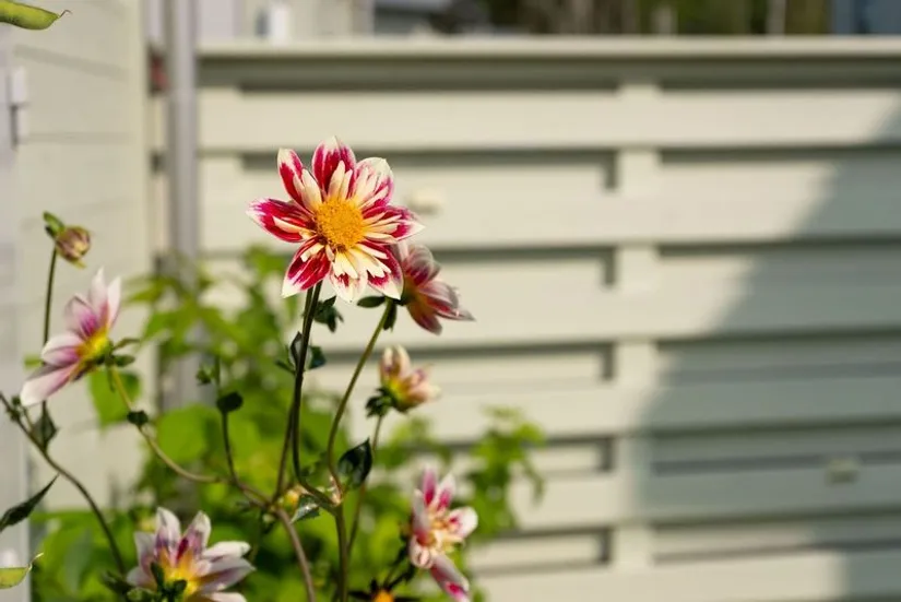 Bostadsrätt, Radhus, Viggholmsvägen 65, Skärholmen, Stockholm