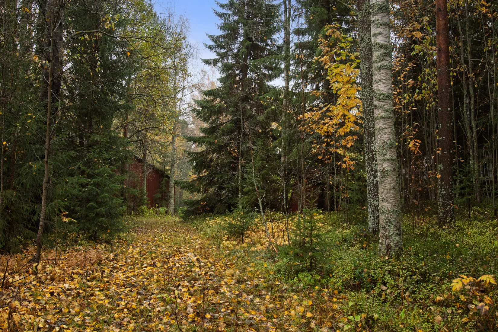 Villa, Pellboda 28, Robertsfors